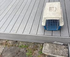 cat carrier