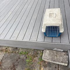 cat carrier