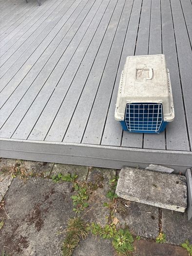 cat carrier