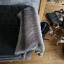 couch Image 2