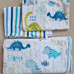 Kids Dinosaur Duvet Set FREE