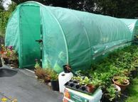 main image for ad New 20 X 10FT Pro Polytunnel Galvanised With Door, FREE Delivery