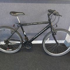 Raleigh Max