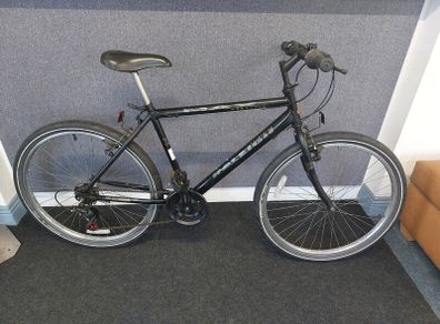 Raleigh Max