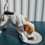 Rare Vintage Royal Doulton Jack Russell Terrier Dog Figurine Image 5