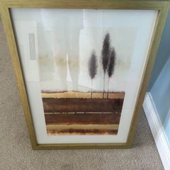 Framed Picture