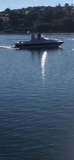 Boat Project Boat Bayliner 1994