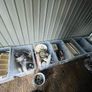 Caravan parts, windows and panels Image 8