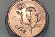 Austria 10 Euro Copper Uncirculated Coin 2022 - Marigold - Languages of Flowers