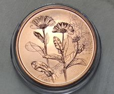 Austria 10 Euro Copper Uncirculated Coin 2022 - Marigold - Languages of Flowers