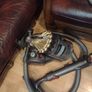 Dyson DC 23 Image 4