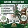 Tree service Image 3