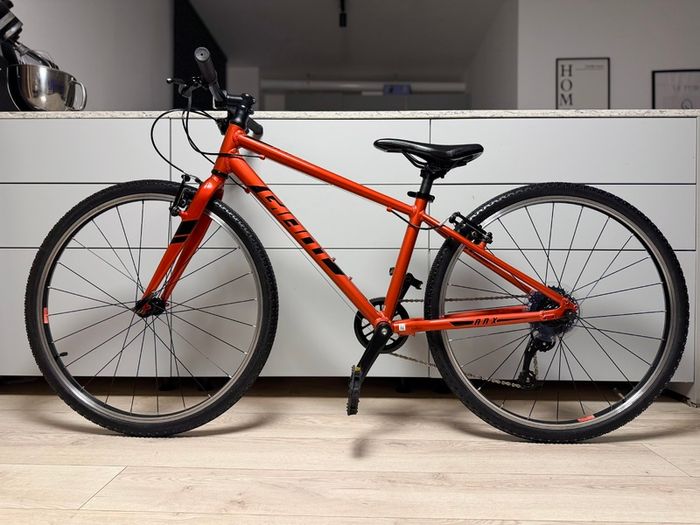 Giant ARX Junior Bike 26 inch (Like New)
