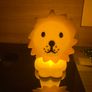Lion First Light - Mr. Maria Image 6