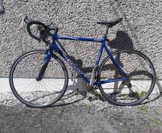 Giant Bike