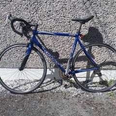 Giant Bike