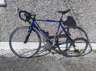 Giant Bike