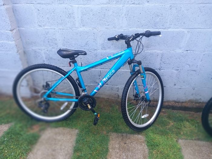 bikes