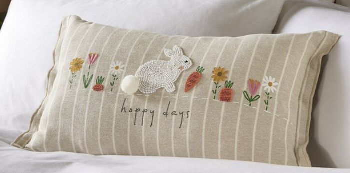 Cushion