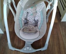 Baby Bouncer / Swing