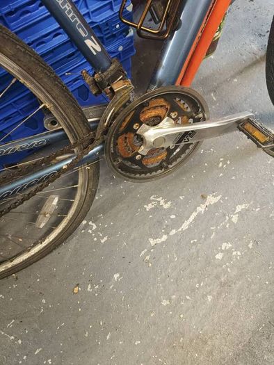 Bicycle - FREE