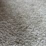 carpet Image 5