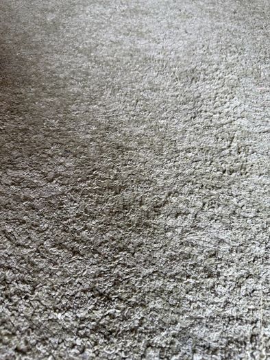 carpet