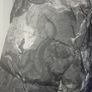 North face x Supreme Renaissance puffer jacket Image 4