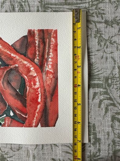 Watercolour - Red Chili's