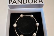 Beautiful Pandora Essence Bracelet  With 5 Charms