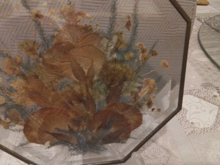 Glass Pressed Flower Hexagonal Wall Decor