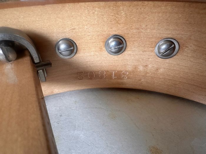 Bacon and Day Senorita Tenor Banjo