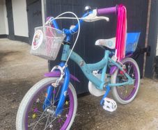 Girls Frozen Bike