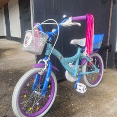 Girls Frozen Bike