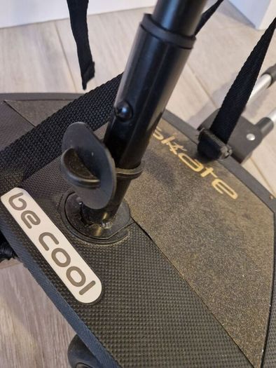 Buggy Board and Seat
