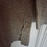 Womans Gallery jumper, in great condition Image 2