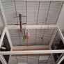 Large bird cage for parrots Image 4