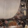 Jolly Roger children's book Image 2