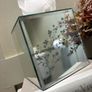 mirror tissue box Image 2