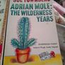 Adrian Mole Image 4