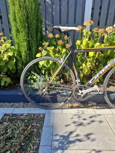 Orbea Road Bike