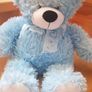 teddy Image 2