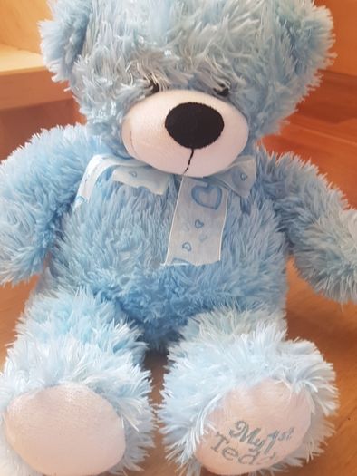 teddy