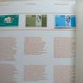 Easter Rising Commemorative Stamps April 1966 Image 4