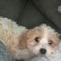 anne.gately.12