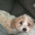 anne.gately.12