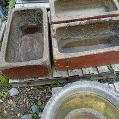 Antique cattle troughs