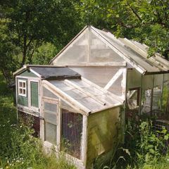 Chicken Coop