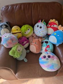Squishmallows Various Designs