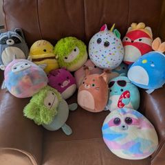 Squishmallows Various Designs